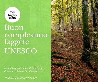 “Buon compleanno faggete UNESCO”: 7 e 8 luglio un week-end di eventi promosso da Comune e Parco