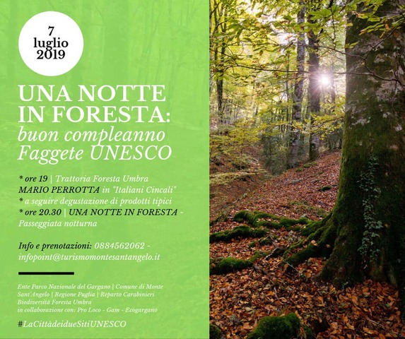 Domenica 7 luglio “Una notte in Foresta per Buon compleanno Faggete UNESCO”